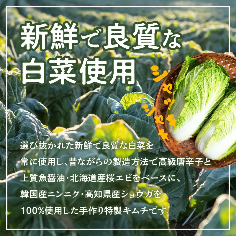 リピーター続出!! 白菜キムチ1.5kg