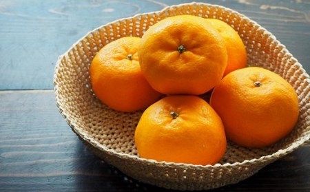 【植田農園のポンカン】 5kg ご家庭用［1183-2］