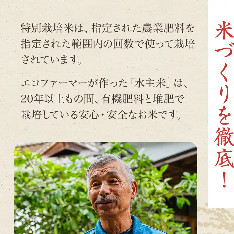 令和8年新米エコファーマー認定農家の地域ブランド米(水主米) 玄米10kg お米 コシヒカリ 香川県 香川 東かがわ市