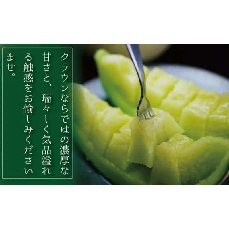 メロン 訳あり クラウン 1玉 静岡 フルーツ 果物 メロン