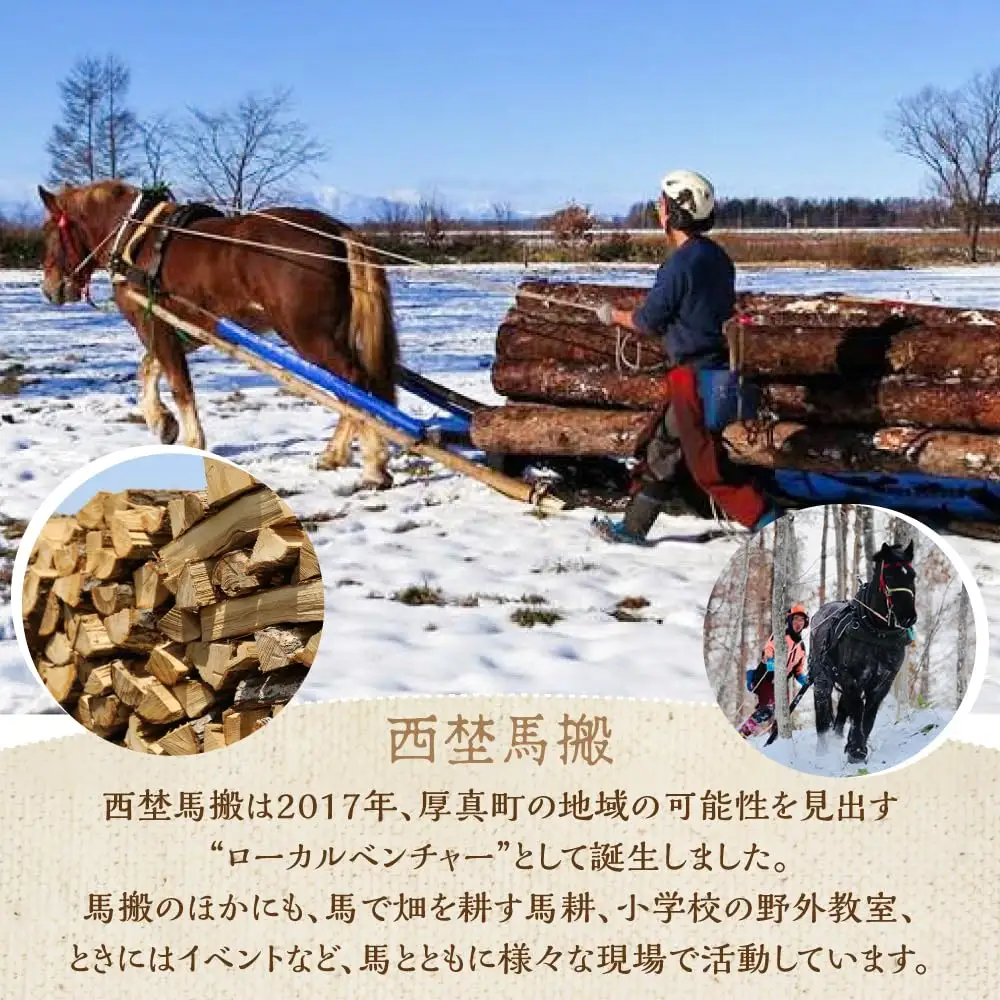 薪ストーブ 北海道 ナラ薪 100kg 20kg×5箱【西埜馬搬】マキ 木材 燃料 [AXBE002]