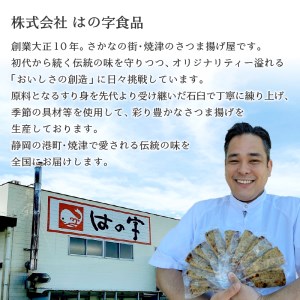 焼津 産 さつま揚げ セット 900g以上 詰合せ (a10-545)