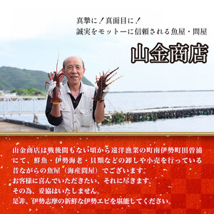 【伊勢海老】 伊勢海老 約250～300g 1尾