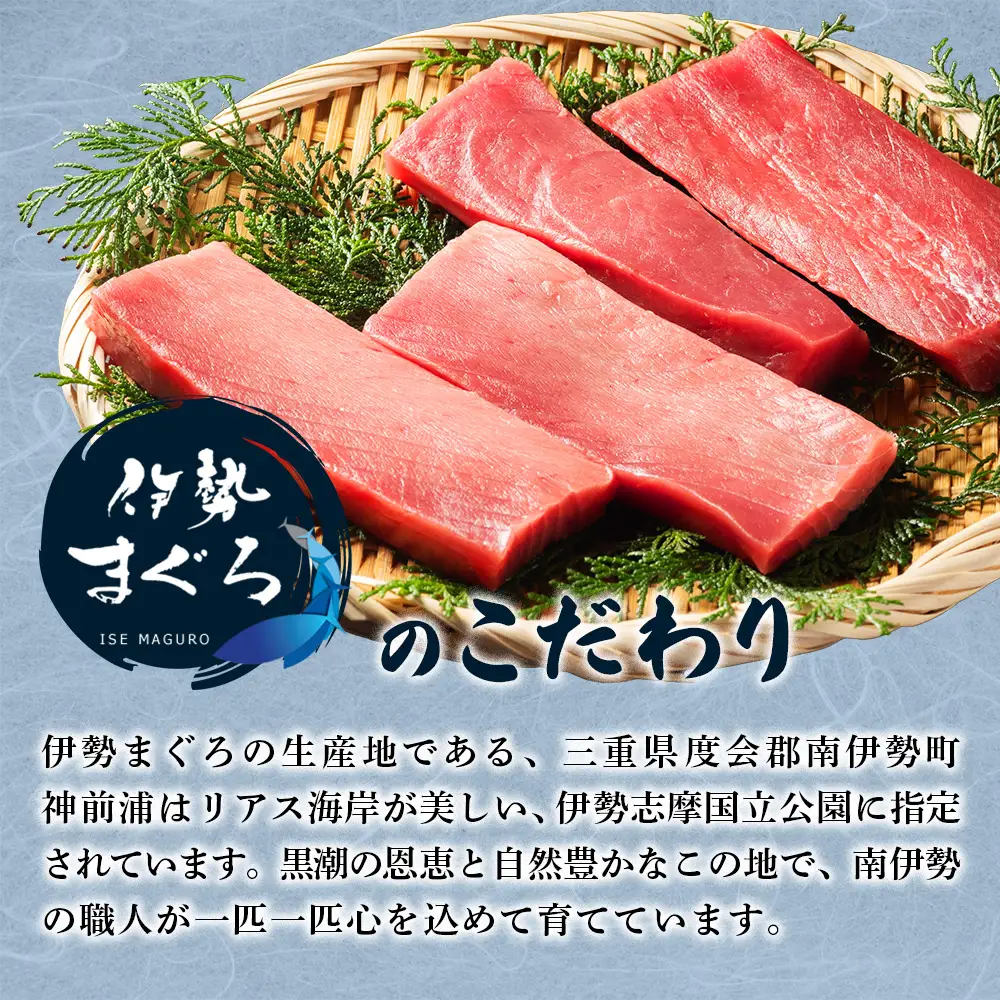 【 冷凍 】本マグロ 赤身 トロ身 約700g ブルーフィン三重 【 本鮪 】