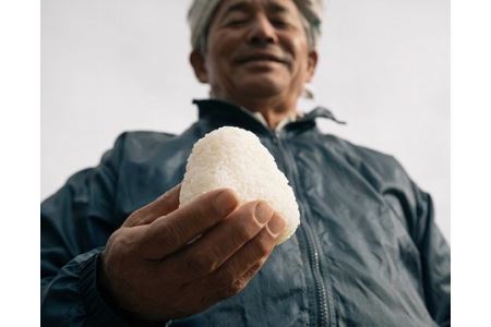 令和8年産 こしひかり 20kg 10kg×2袋 こしひかり 米 お米