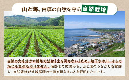 じゃがいも（さやあかね）無農薬・無肥料・自然栽培・北海道産【5kg】_I007-0481