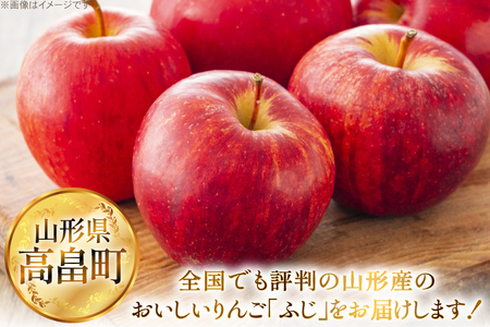 【期間限定発送】 りんご 高畠町産 サンふじ りんご 12～18玉 計 5kg