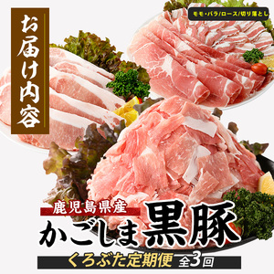 全3回 定期便 かごしま黒豚バラエティ定期便 岡村商店 IBZ024-003