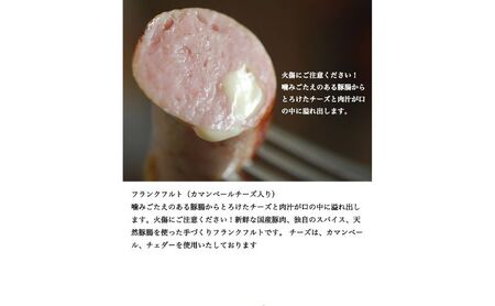 ハム ソーセージ 詰め合わせ スペシャルセット シャルキュトゥリ・コイデ ウィンナー ウインナー ハム 肉 お肉 豚 セット 