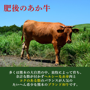 ハンバーグ あか牛 熊本県産 湯煎 調理済み ハンバーグ【150g×10個】【冷凍】