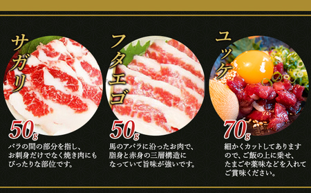馬刺しセット 桜屋 赤身 ユッケ たてがみ 霜降り 6種 馬刺しセット【420g】【冷凍】