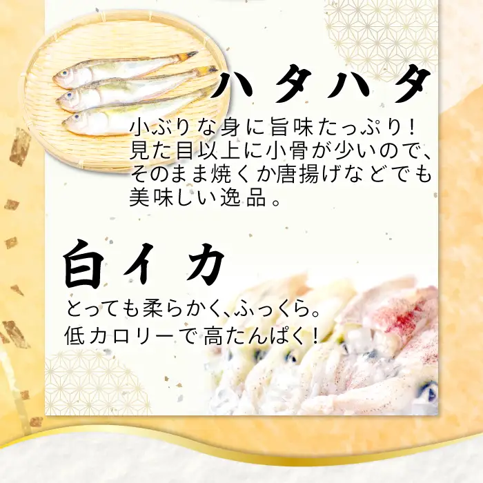 定番の干物４種詰合せセット【干物 セット アジ エテカレイ ハタハタ 白いか 鯵 鰈 鰰 白イカ 島根県産 島根県沖 一夜干し ひもの 魚 魚介 日本食 和食 贈答 ギフト お取り寄せグルメ ご当地グルメ】