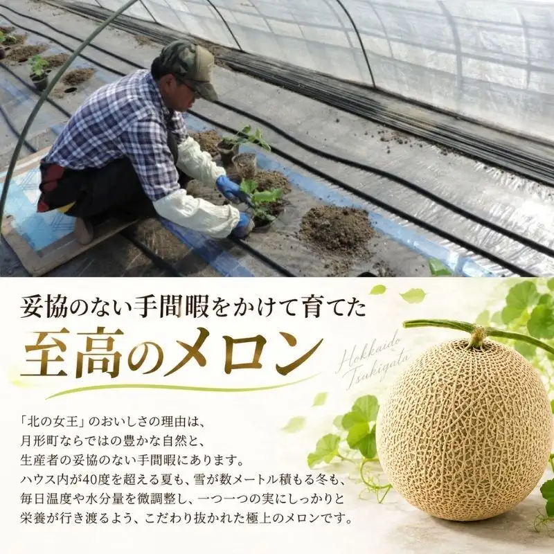 メロン 赤肉 北の女王 優品 北海道 メロン【7〜8玉 計約8kg】【先行予約】