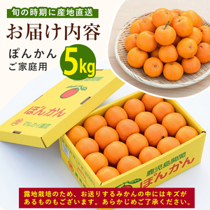 2027年発送 ぽんかん 約5kg  ポンカン みかん IB064-004