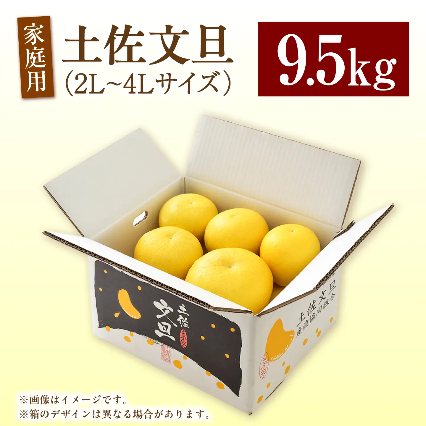 土佐文旦 9.5kg (2L～4L) 文旦 BQAH002