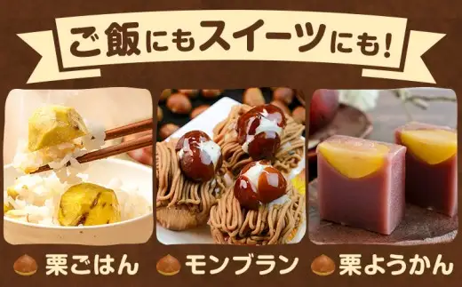 佐那河内産　生栗1kg(サイズ混合)《10月上旬-10月末頃発送》