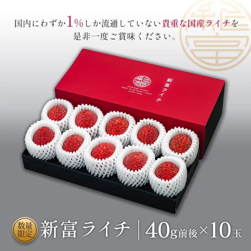 ［2027年発送］先行予約 希少！国産＜新富ライチ＞40g前後×10玉 国産 ブランド フルーツ 果物 贈答品【B120-27】
