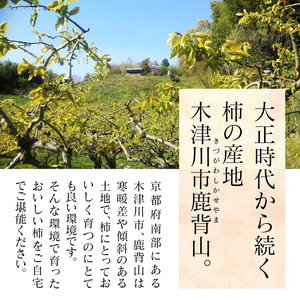 《先行予約》 かせやまの柿 富有柿 Lサイズ 約3.5kg 京都 015-01 ｜ かき【2026年10月下旬～順次発送】