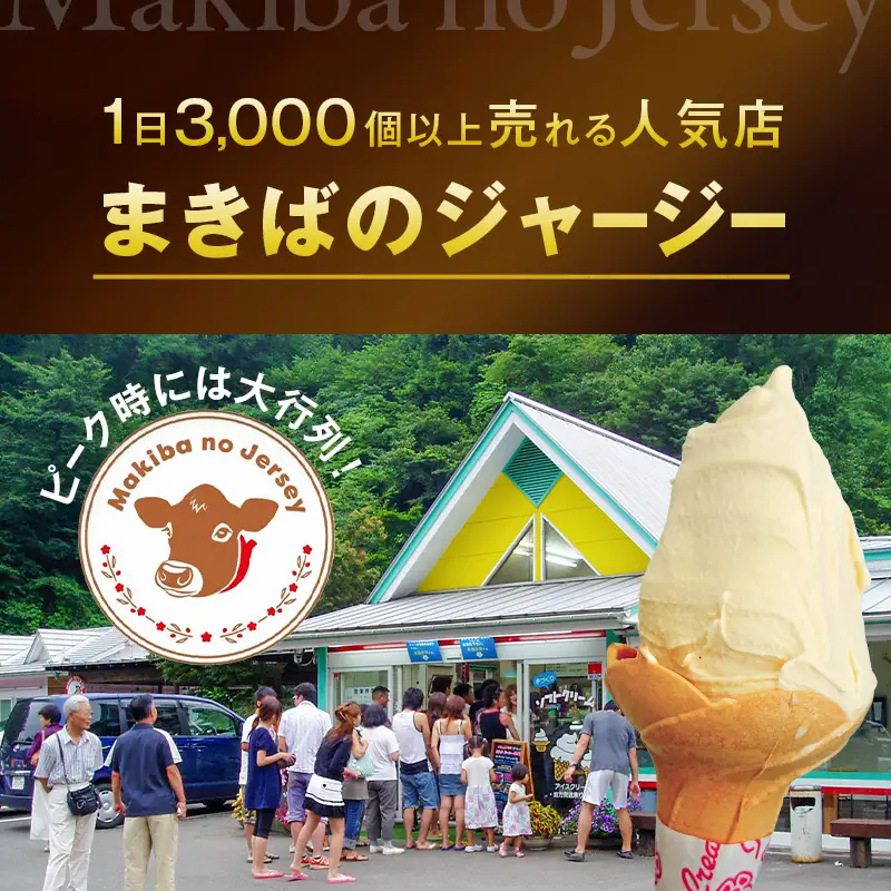 【ジャージー牛乳使用】まきばのジャージーアイス 500ml×2 (絶品ミルク) 福島県 伊達市 東北 ミルクアイス アイスクリーム 濃厚 F21C-039
