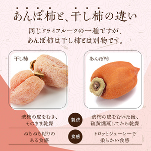 五十沢のあんぽ柿 230g×3パック  F20C-248