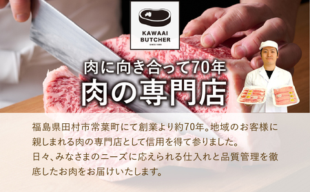肉 牛肉 黒毛和牛 サーロインステーキ用 250g 2枚 500g 福島県 田村市
