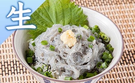 生しらす 釜揚げしらす たっぷりセット 【 とびっちょ YTB004 】
