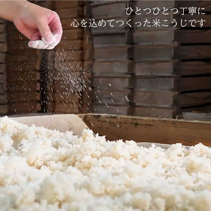 【全3回定期便】手作り生米こうじ400g 5個セット【原味噌本店】 [CA15]