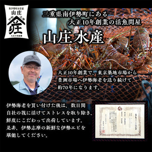 【伊勢海老】 伊勢海老 約400g 1～2尾