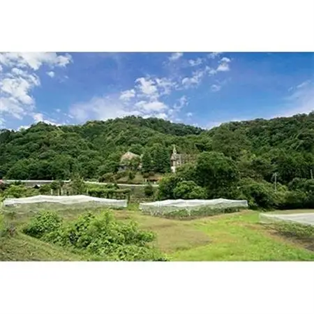 6月の森「ビーフシチュー」2個_惣菜・加工品 シチュー  _【配送不可地域：離島】【1115375】