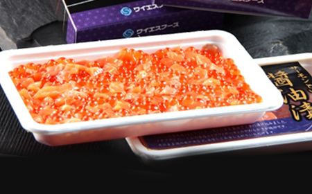 サーモンと いくらの醤油漬 約500g（250g×2パック） ＜ワイエスフーズ＞ いくら醤油漬け 海鮮丼 サケ さけ 鮭 いくら イクラ しょうゆ漬け 海産物 セット 森町 ふるさと納税 北海道 mr1-0425