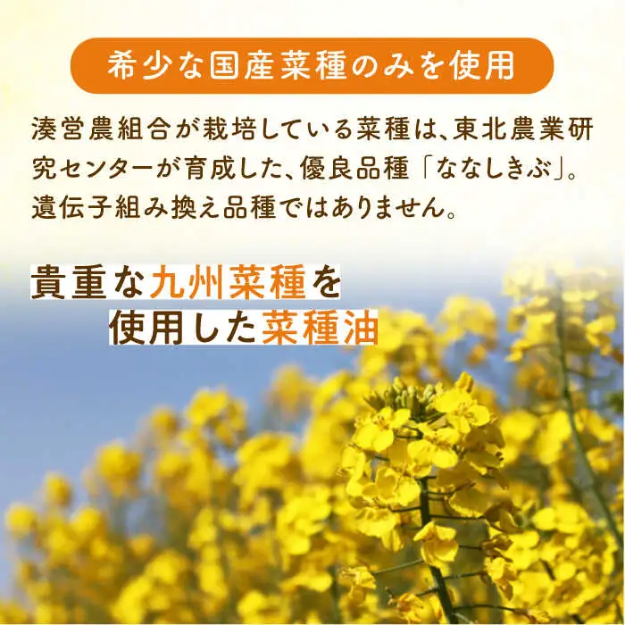 菜の花 サラダ ドレッシング 2本 + 菜の花 一番搾り ドレッシング 1本 [ABAQ006]