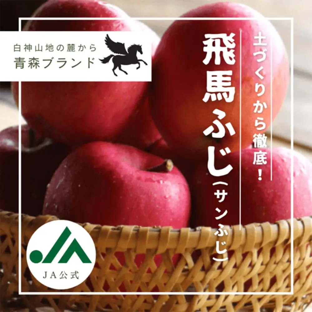 【26年12月～発送】りんご 糖度14度以上 「 飛馬ふじ 」（サンふじ）約 2.5kg