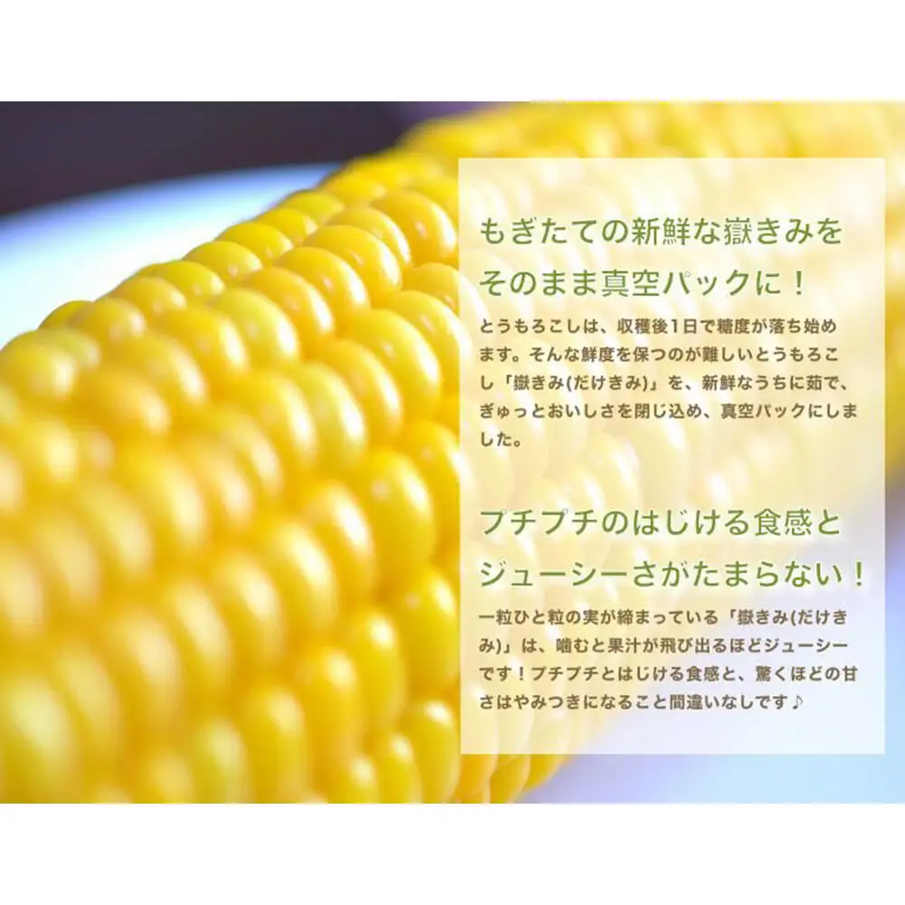 とうもろこし 嶽きみ真空パック 10本セット（L～2Lサイズ）