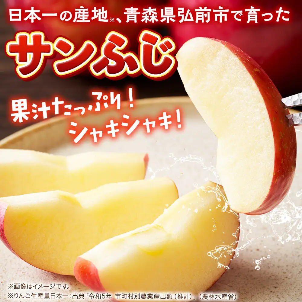 りんご サンふじ 贈答用 約3kg【2月～発送】りんご