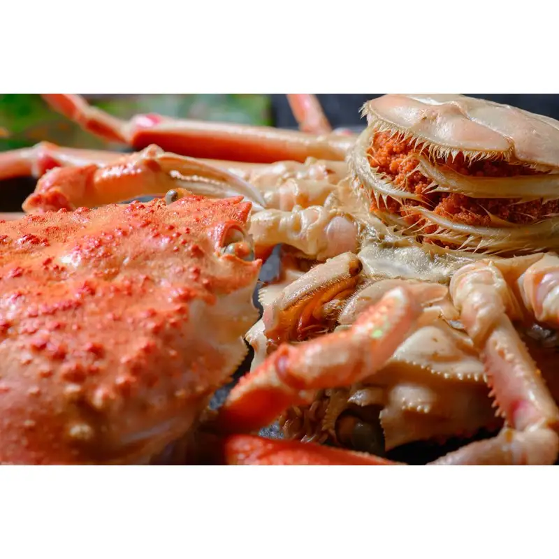 【蟹の匠 魚政】内子外子が美味! 茹でたて セイコガニ（セコ蟹）（香箱ガニ）（こっぺ）中小サイズ 5匹セット
