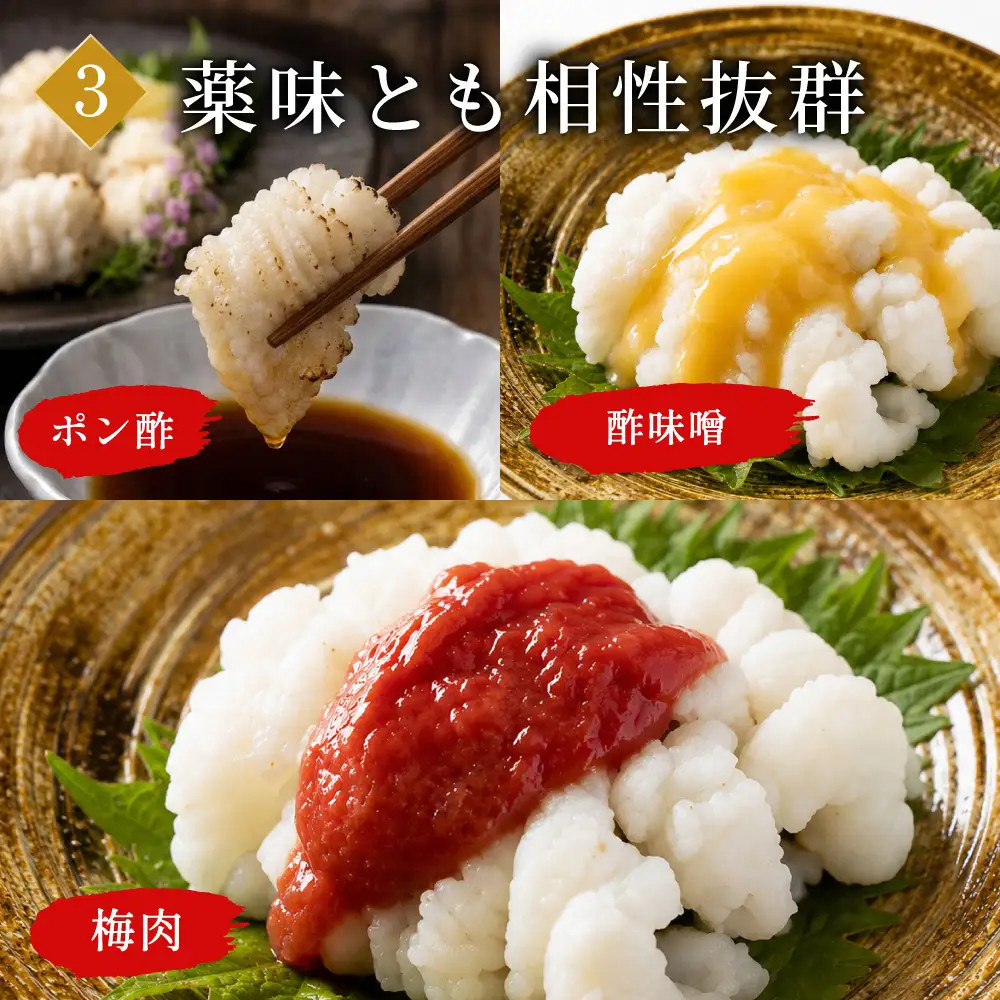 のぞみ 湯引き 炙はも 350g【2026年5月上旬から12月上旬発送予定】