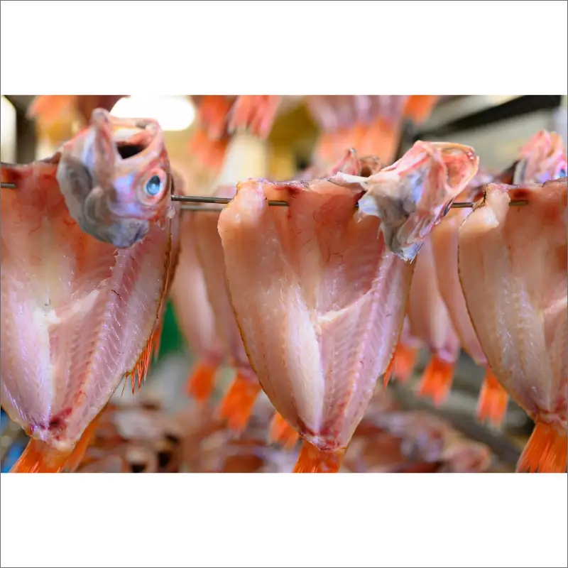 のどぐろ一夜干し３尾 500g級使用「魚政のひもの」 のどぐろ 干物