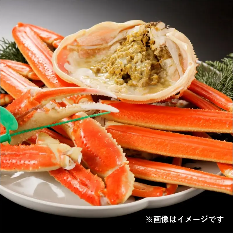 【蟹の匠 魚政】魚政BLACK 茹でズワイガニ〈急速冷凍〉小サイズ 1杯【姿のまま】カニ酢付き