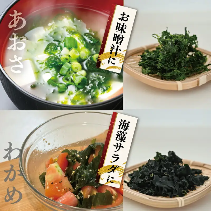 海藻 乾物 セット A とろろ ひじき わかめ あおさ アオサ アオサ海苔 乾燥 味噌汁 みそ汁 かき揚げ 煮物 酢の物 とろろ サラダ うどん わかめごはん 保存 保管 国産 伊勢志摩産 無添加 詰め合わせ mh3