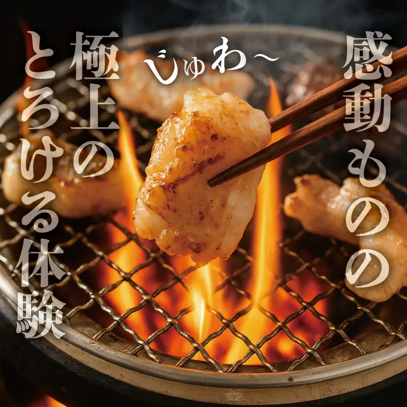 松阪牛 ホルモン ・ 松阪牛 焼肉 セット 900g 肉 牛 牛肉 和牛 ブランド牛 高級 国産 霜降り 冷凍 ふるさと 人気 焼肉用 BBQ バーベキュー モモ モモ肉 バラ バラ肉 K3