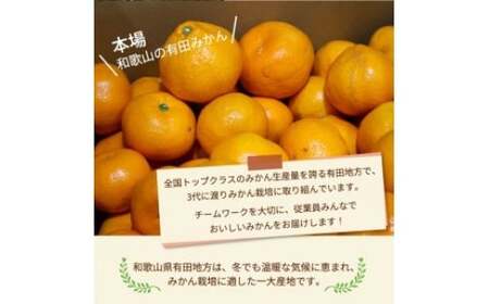 有田みかん こだわりの完熟 4kg＋150g(傷み補償分) ｜ みかん