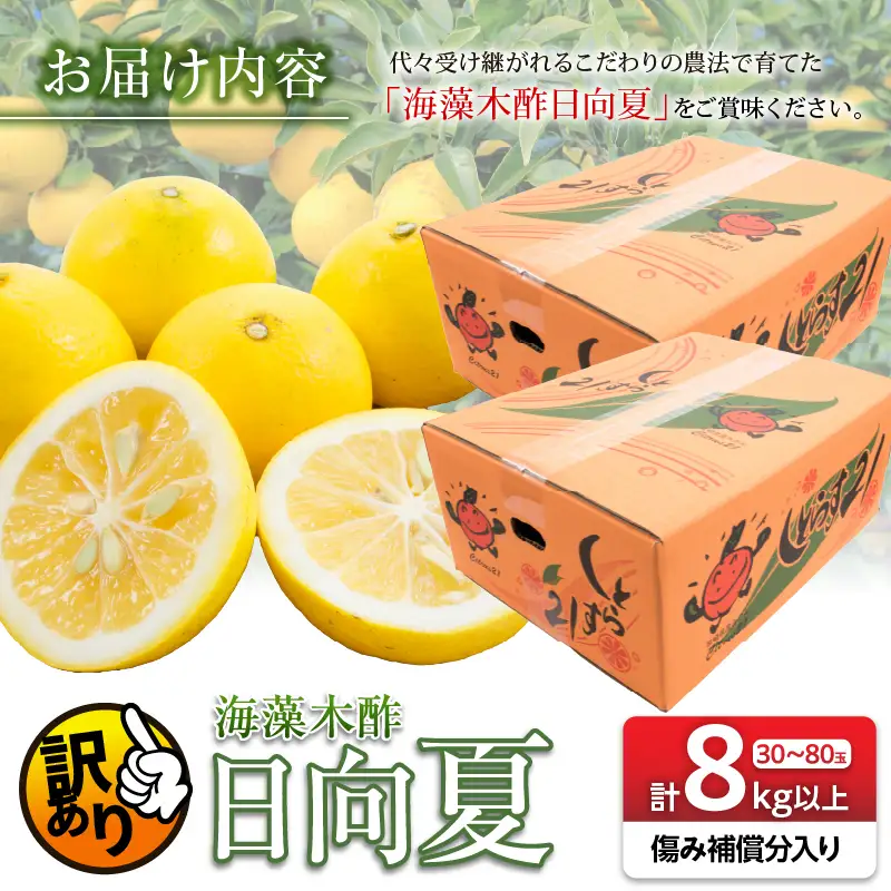 先行予約 訳あり 海藻木酢 日向夏 小夏 計8kg以上 傷み補償分入り_BB179-26