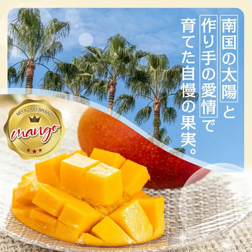 【先行受付!】宮崎完熟マンゴー家庭用1kg以上(都城産)≪2027年6月～7月頃順次お届け≫〔MJ-3311〕_(都城産) 特大4Lサイズ(500g以上)2玉 L～3Lサイズ3玉～5玉など組合わせで合計1kg以上 宮崎マンゴー 産地直送 規格外