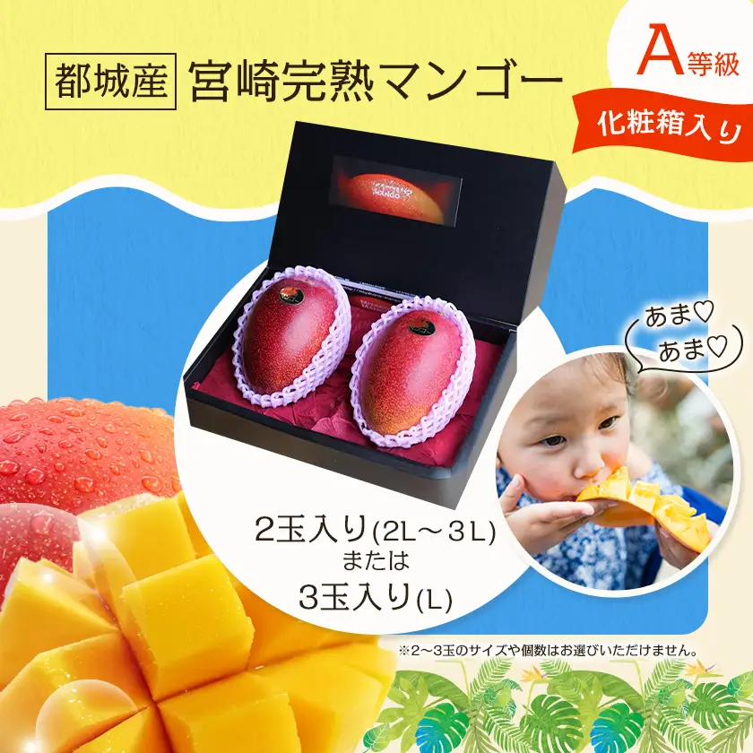 【先行受付!】宮崎完熟マンゴー2～3玉(都城産)〔AC-3303〕_(都城産) 宮崎マンゴー A等級 2玉～3玉 2Lサイズ～3Lサイズ MANGO フルーツ 化粧箱 宮崎県産 都城産 産地直送 冷蔵 