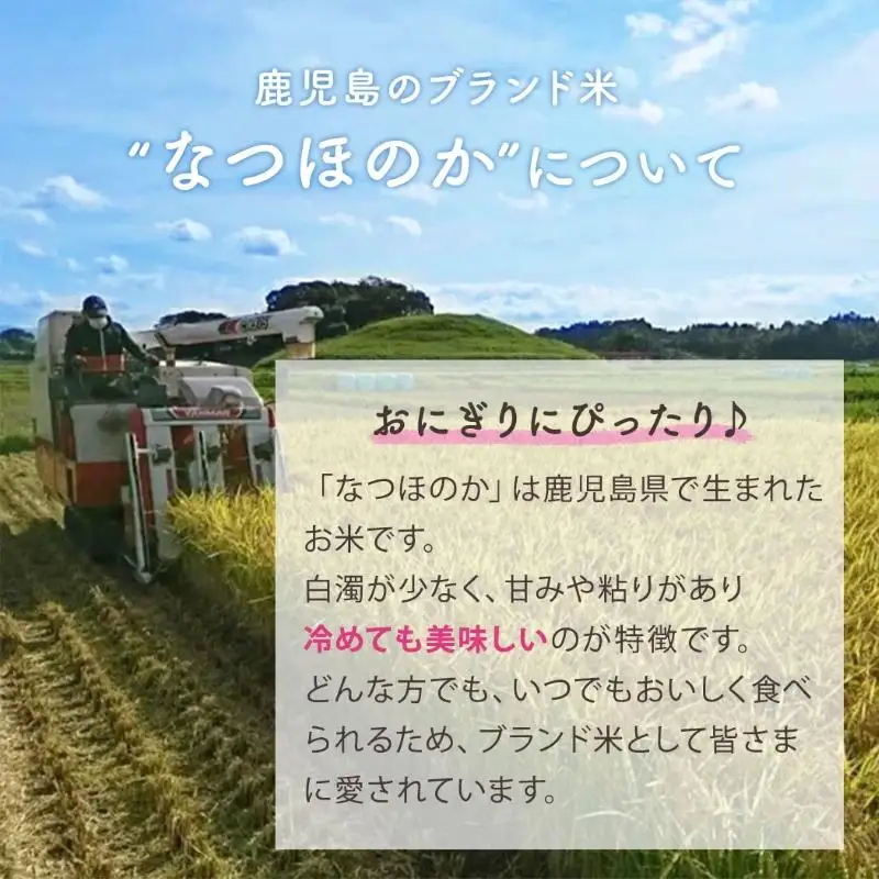 ★令和8年産★ 大崎産「なつほのか（幸せ米）」５kg