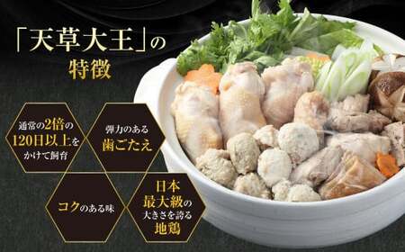 天草大王まんぷく鍋セット