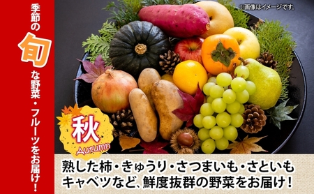 野菜 詰め合わせ 神奈川県 フルーツ 野菜