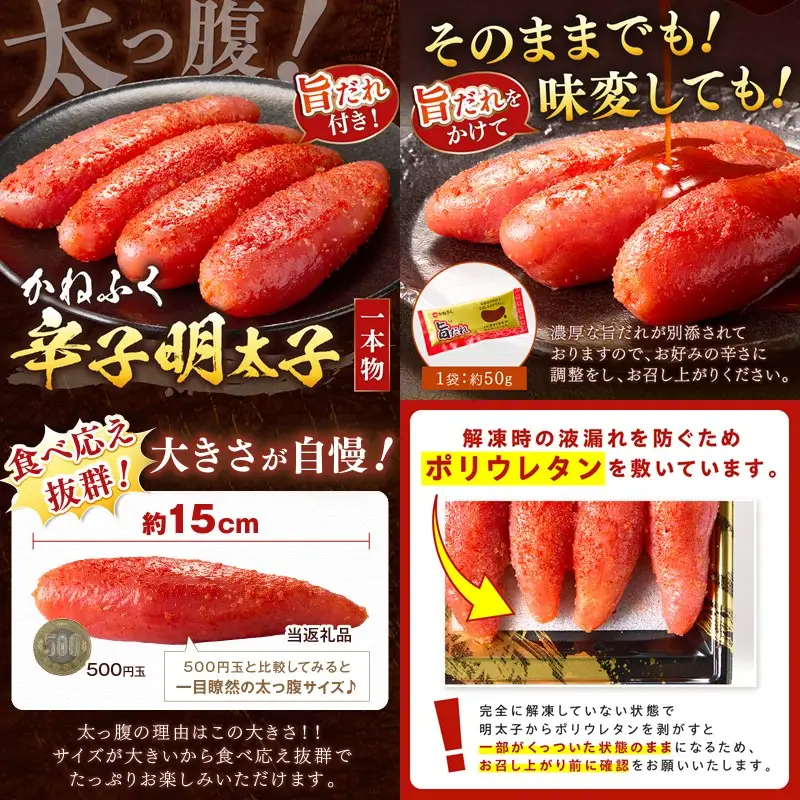かねふく辛子明太子&デミソースのハンバーグ2種セット【3ヶ月毎定期便(計4回発送)】【F8-005】