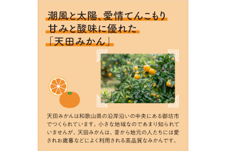 【0613-4】濃厚温州みかん5kg（和歌山天田みかん）みかんの産地和歌山 北村農園直送《先行予約》