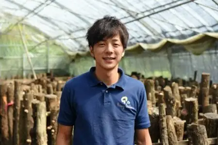 【阿蘇・南小国町産】極上の香りを放つ希少な 原木しいたけ 1kg 南小国産 原木しいたけ 極上 きのこ キノコ 椎茸 しいたけ シイタケ 生 野菜 極上 高級 ギフト 贈答用 熊本 阿蘇 南小国町 送料無料